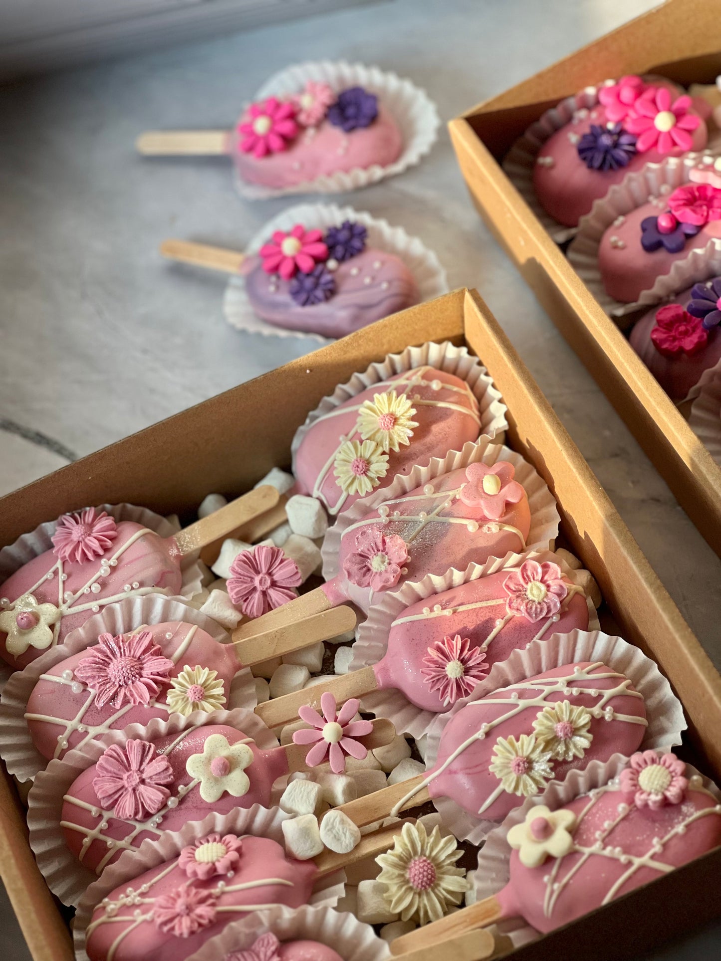 (Oct Preorder) Standard Cakesicles
