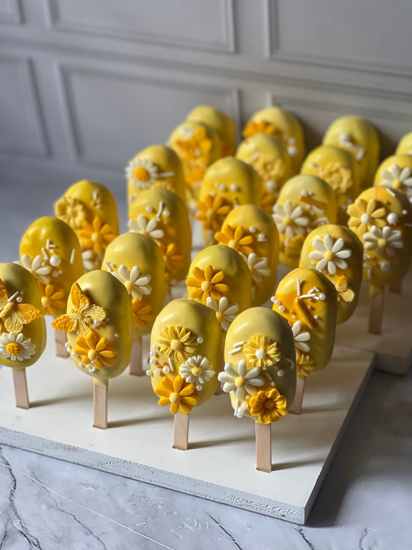 (Oct Preorder) Standard Cakesicles