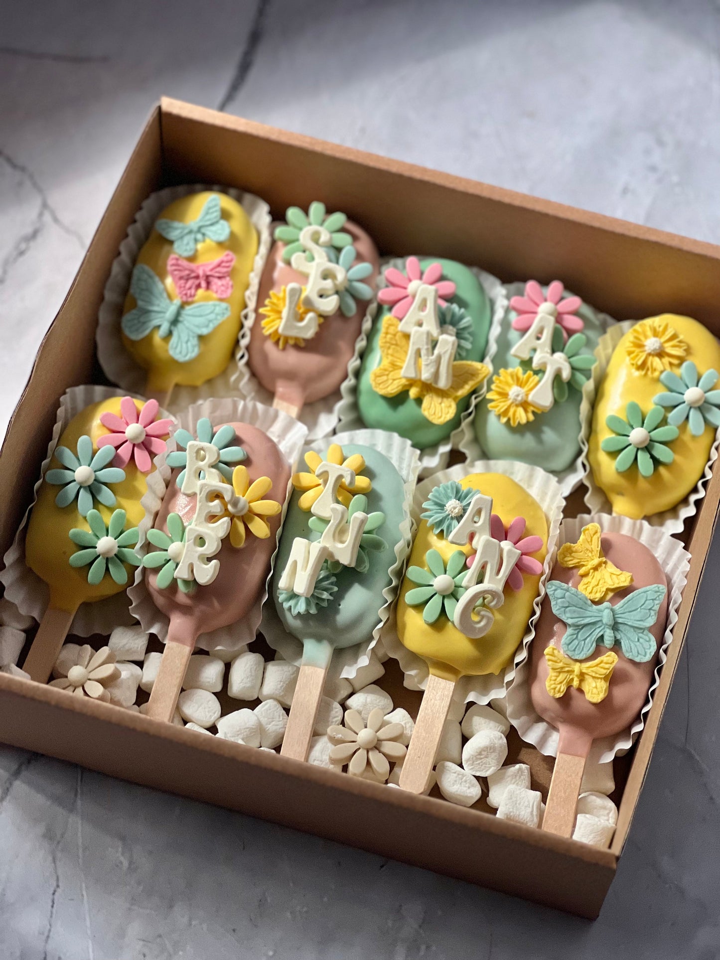 (Oct Preorder) Standard Cakesicles