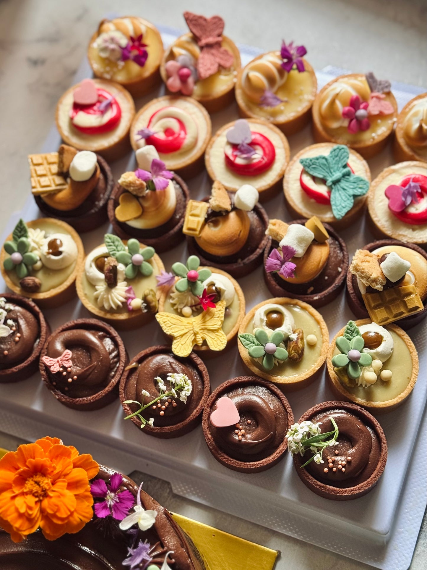 (Oct-Nov Preorder) 25pc Tarts Giftbox
