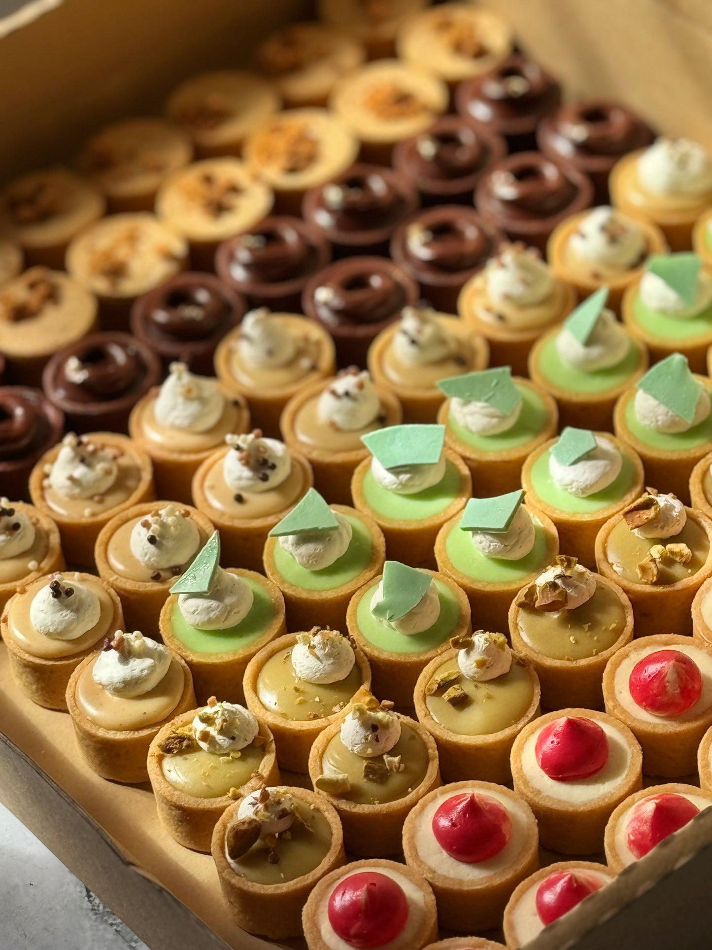 (Oct Preorder) Tartlets