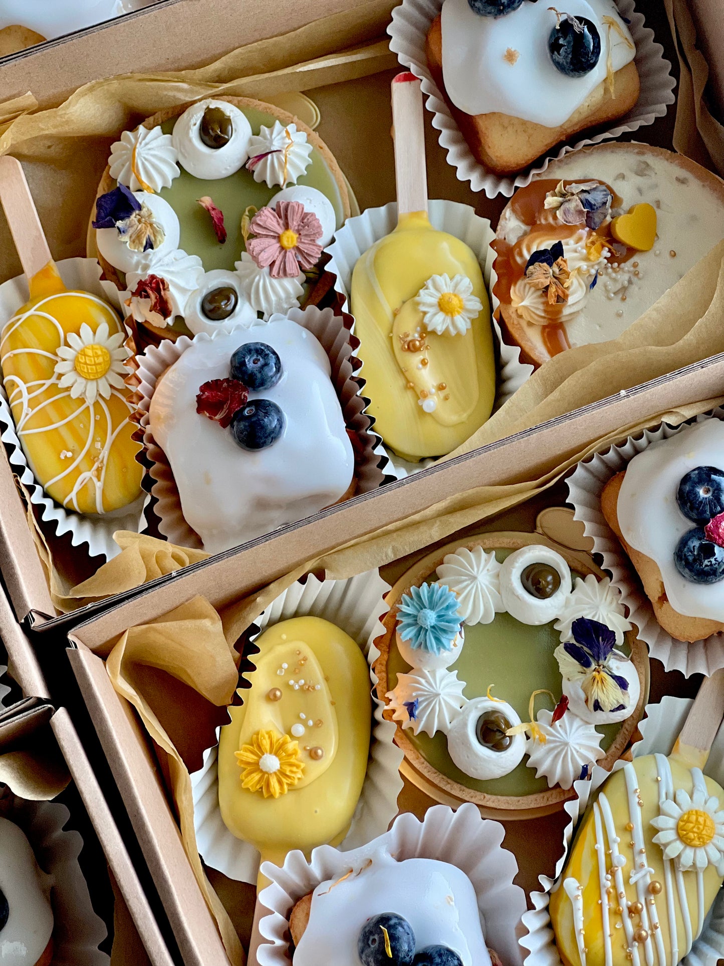 Sunshine Box