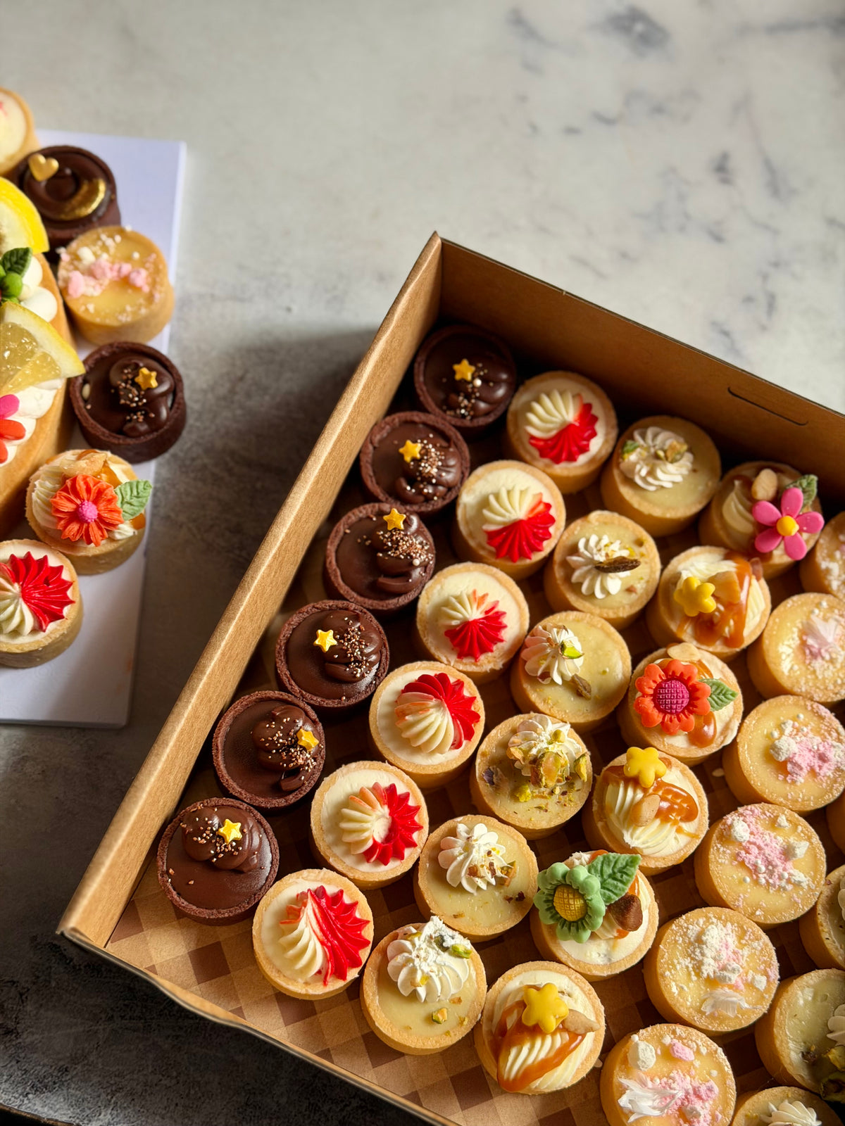 (Oct 2026) Tartlets 33mm