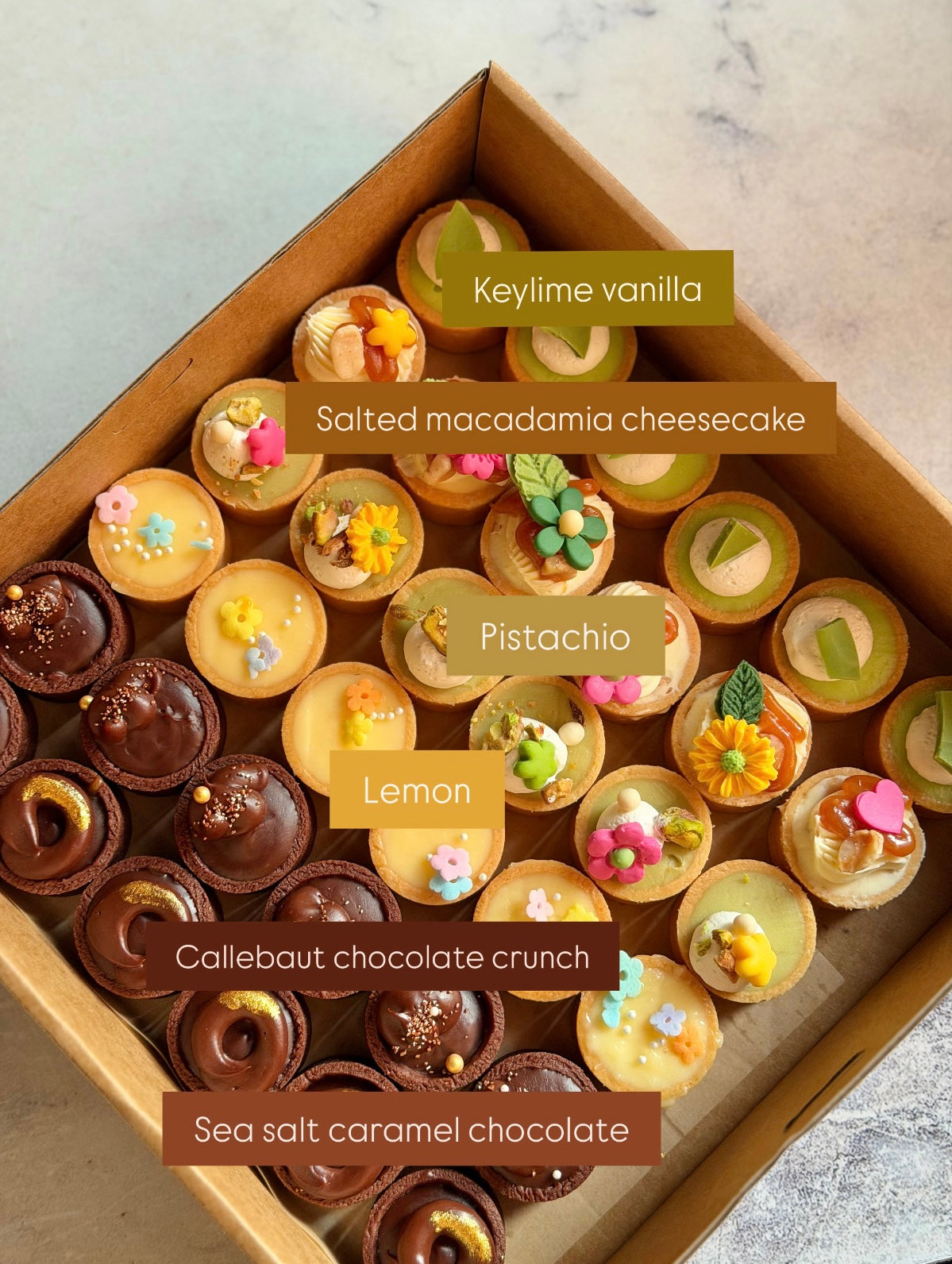 (Nov 2026) Tartlets 33mm