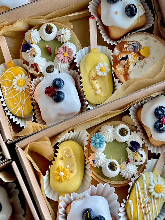 (22 May 2024) Sunshine Box