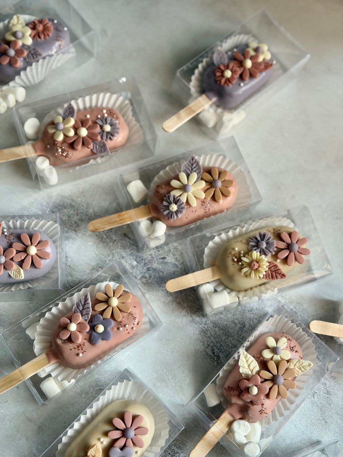 (Nov 2026) Standard Cakesicles