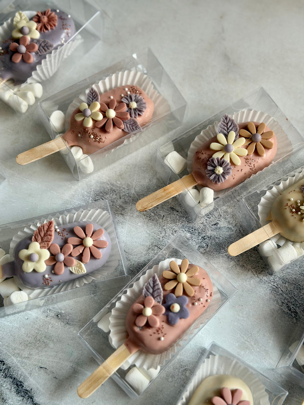 (Nov 2026) Standard Cakesicles